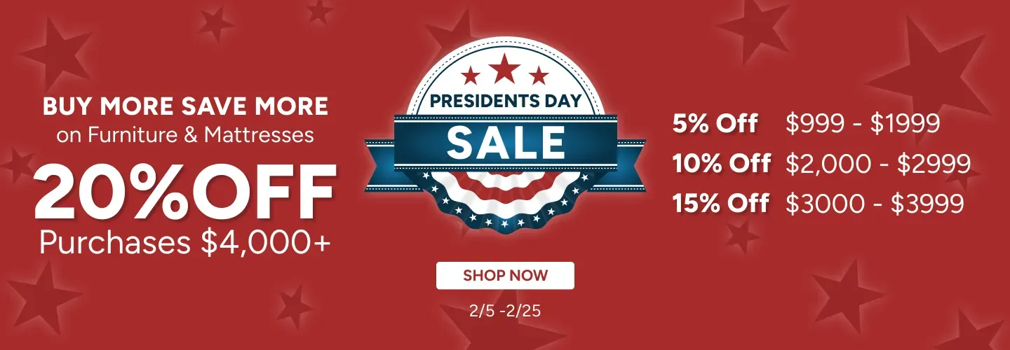 Buy More Save More on Presidents' Day at Queen City Homestore